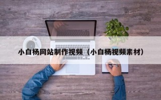 章丘小白杨网站制作视频（小白杨视频素材）