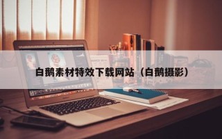 章丘白鹅素材特效下载网站（白鹅摄影）